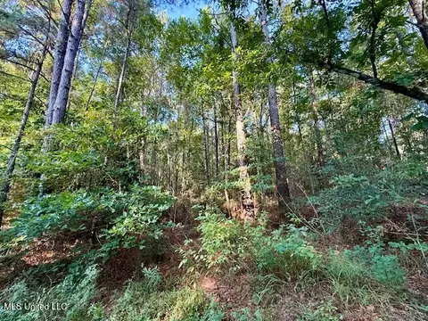 SW Goodwill Loop Loop, Brookhaven, MS 39601 photo 6