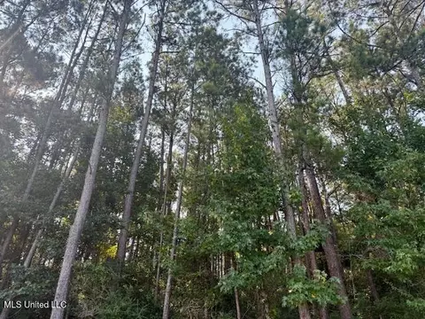 SW Goodwill Loop Loop, Brookhaven, MS 39601 photo 37