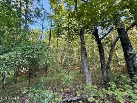 SW Goodwill Loop Loop, Brookhaven, MS 39601 photo 10