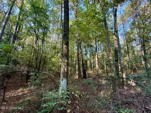 SW Goodwill Loop Loop, Brookhaven, MS 39601 photo 3