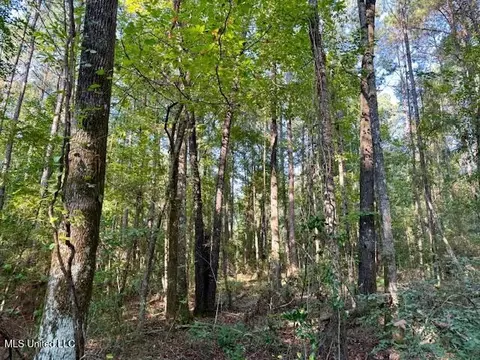 SW Goodwill Loop Loop, Brookhaven, MS 39601 photo 24