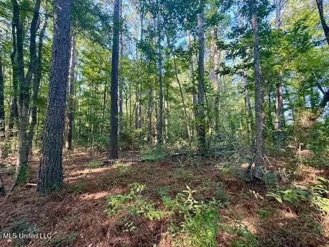 SW Goodwill Loop Loop, Brookhaven, MS 39601 photo 35