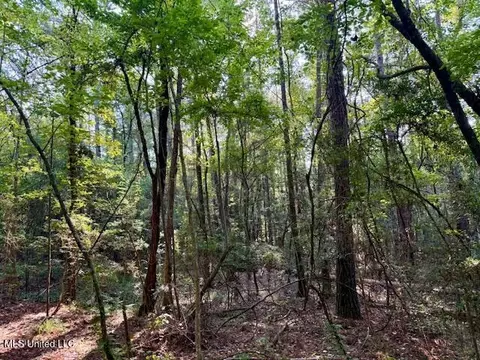 SW Goodwill Loop Loop, Brookhaven, MS 39601 photo 27