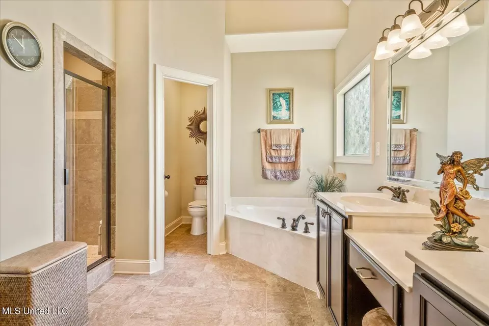Bath - 14276 Cantwell Dr, Olive Branch, MS 38654 photo 1 of 4