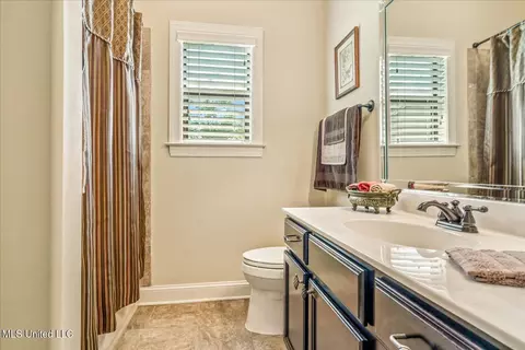 Bath - 14276 Cantwell Dr, Olive Branch, MS 38654 photo 3 of 4