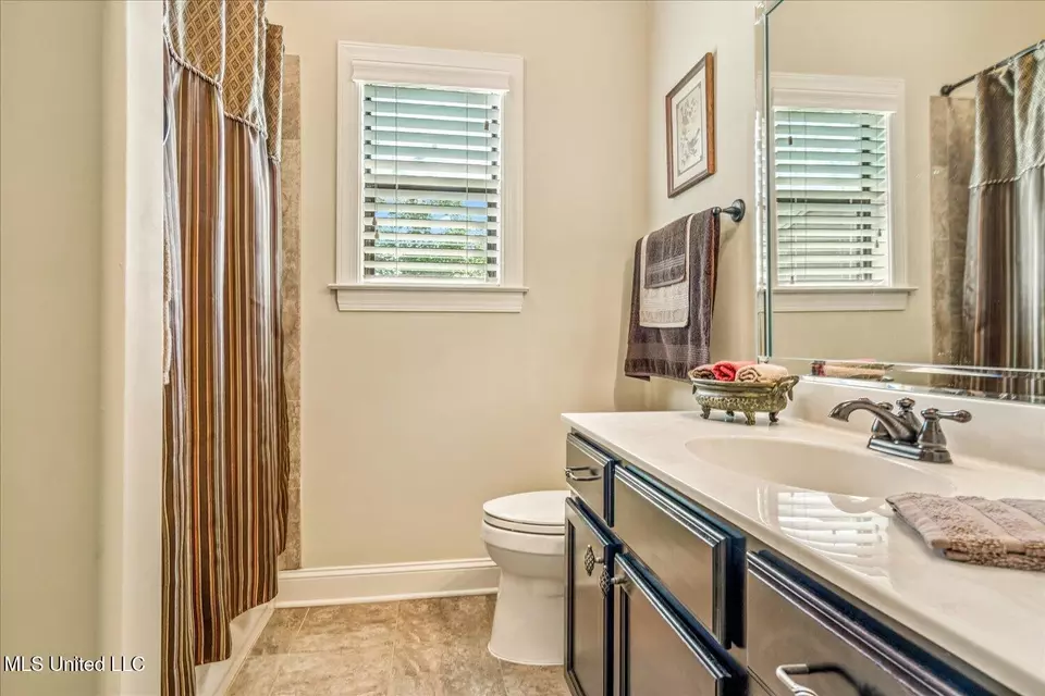 Bath - 14276 Cantwell Dr, Olive Branch, MS 38654 photo 3 of 4
