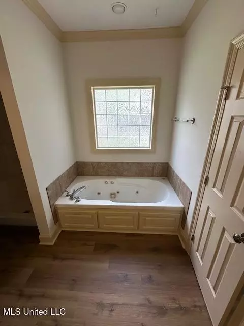 Bath - 130 Savoy Park, Madison, MS 39110 photo 1 of 1