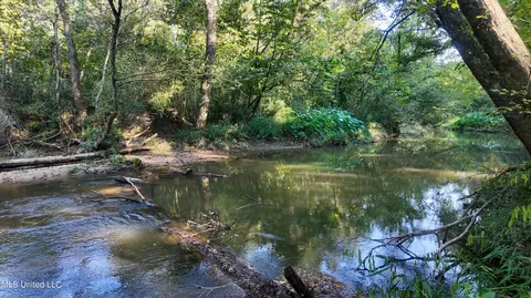 N Greensburg Road, Liberty, MS 39645