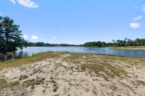 Spring Lake E Drive, Vancleave, MS 39565 photo 18