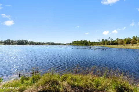 Spring Lake E Drive, Vancleave, MS 39565 photo 19