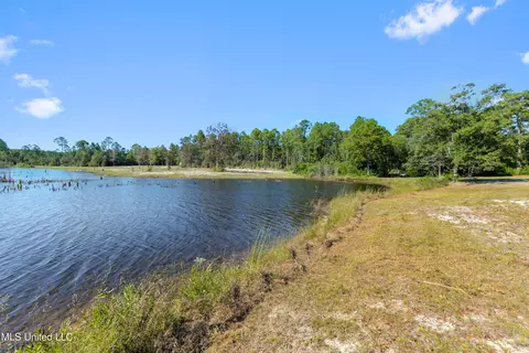 Spring Lake E Drive, Vancleave, MS 39565 photo 20