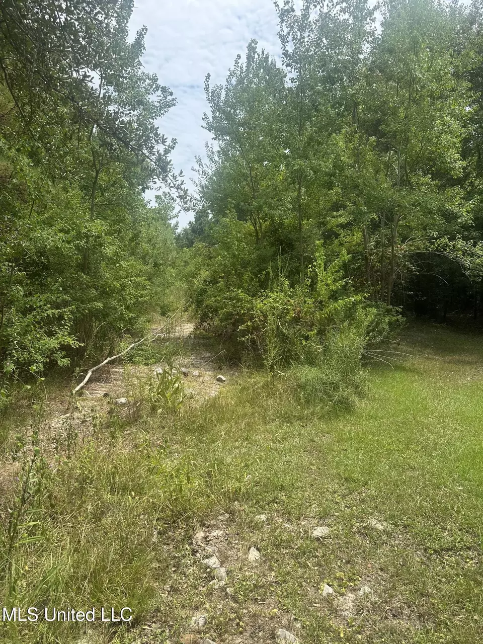  Petite St., Waveland, MS 39576 photo 1