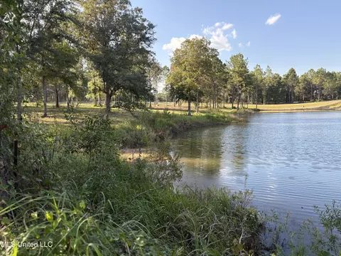 Shellcracker Drive, Lucedale, MS 39452 photo 1