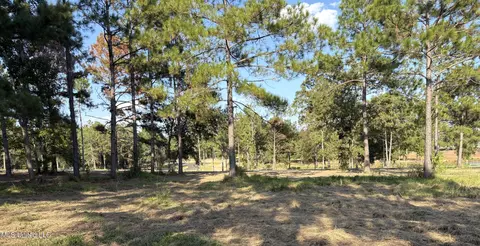 Shellcracker Drive, Lucedale, MS 39452