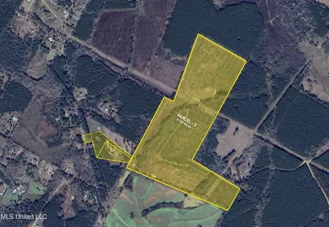 Munn Road, Pelahatchie, MS 39145