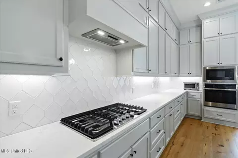 Kitchen - 487 Crossvine Pl, Madison, MS 39110 photo 6 of 6