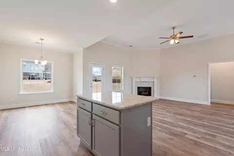 Other - 956 Collie Dr, Hernando, MS 38632 photo 3 of 5