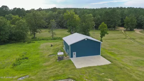 730 Pinola Braxton Rd, Braxton, MS 39044 photo 7