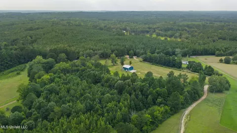 730 Pinola Braxton Rd, Braxton, MS 39044 photo 54
