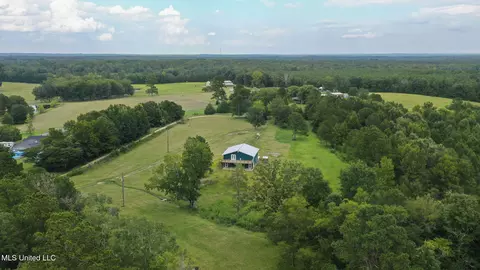 730 Pinola Braxton Rd, Braxton, MS 39044 photo 45