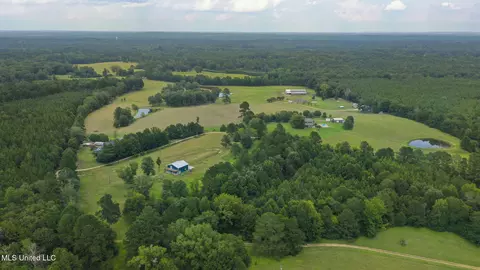 730 Pinola Braxton Rd, Braxton, MS 39044 photo 57