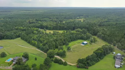 730 Pinola Braxton Rd, Braxton, MS 39044 photo 50