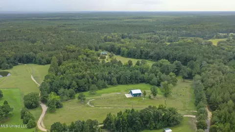 730 Pinola Braxton Rd, Braxton, MS 39044 photo 49