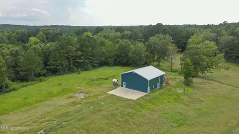 730 Pinola Braxton Rd, Braxton, MS 39044 photo 9