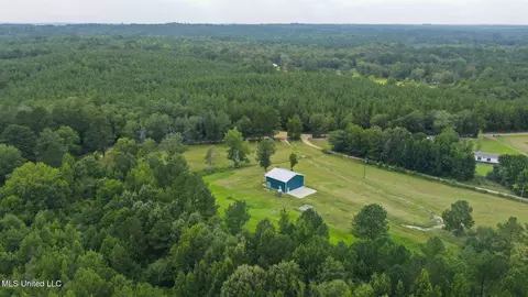 730 Pinola Braxton Rd, Braxton, MS 39044 photo 56