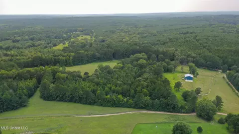730 Pinola Braxton Rd, Braxton, MS 39044 photo 52