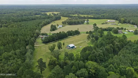 730 Pinola Braxton Rd, Braxton, MS 39044 photo 59