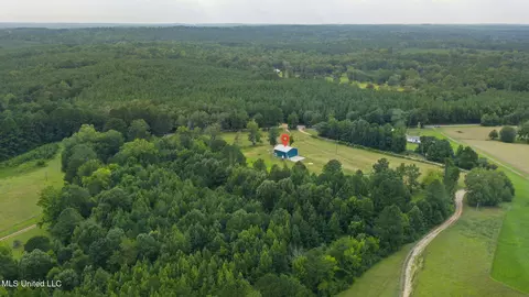 730 Pinola Braxton Rd, Braxton, MS 39044 photo 55