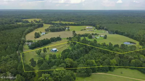 730 Pinola Braxton Rd, Braxton, MS 39044 photo 58