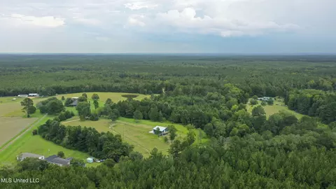 730 Pinola Braxton Rd, Braxton, MS 39044 photo 46