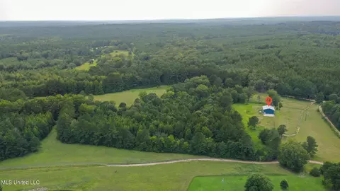 730 Pinola Braxton Rd, Braxton, MS 39044 photo 53