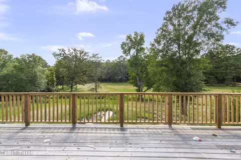 730 Pinola Braxton Rd, Braxton, MS 39044 photo 43