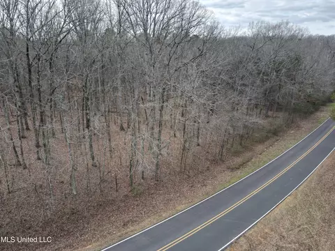 Woolsey Road, Olive Branch, MS 38654 photo 4