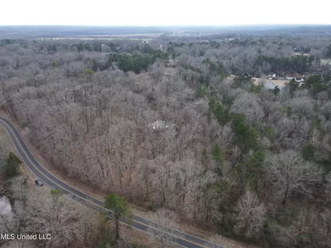 Woolsey Road, Olive Branch, MS 38654 photo 10