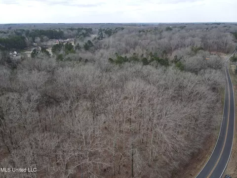 Woolsey Road, Olive Branch, MS 38654 photo 7