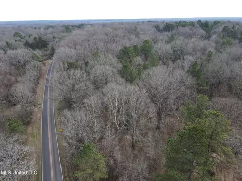 Woolsey Road, Olive Branch, MS 38654 photo 8