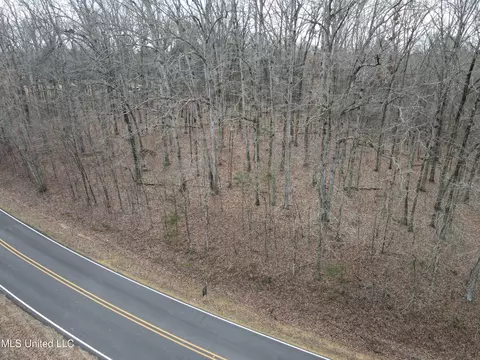 Woolsey Road, Olive Branch, MS 38654 photo 2