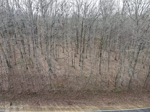 Woolsey Road, Olive Branch, MS 38654 photo 3