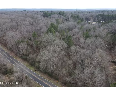Woolsey Road, Olive Branch, MS 38654 photo 9