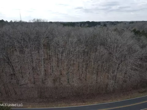 Woolsey Road, Olive Branch, MS 38654 photo 5