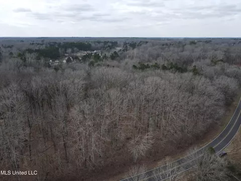 Woolsey Road, Olive Branch, MS 38654 photo 6