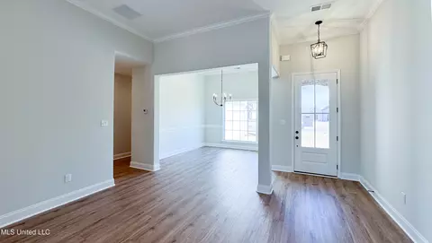 Entry Way - 723 Lucas Ln, Hernando, MS 38632 photo 1 of 2