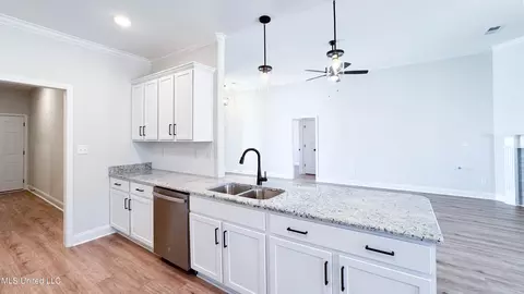 Kitchen - 723 Lucas Ln, Hernando, MS 38632 photo 1 of 1
