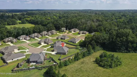105 Leah Cv, Canton, MS 39046 photo 63