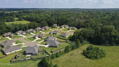 105 Leah Cv, Canton, MS 39046 photo 62