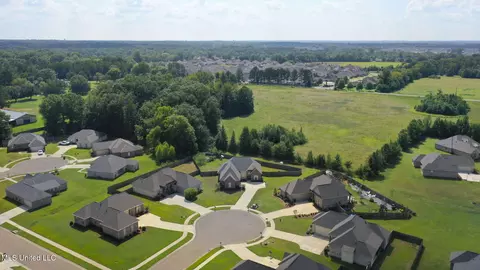 105 Leah Cv, Canton, MS 39046 photo 58